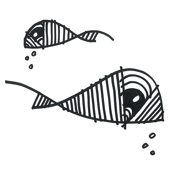 Alessandro-Colavecchio-Fish.png