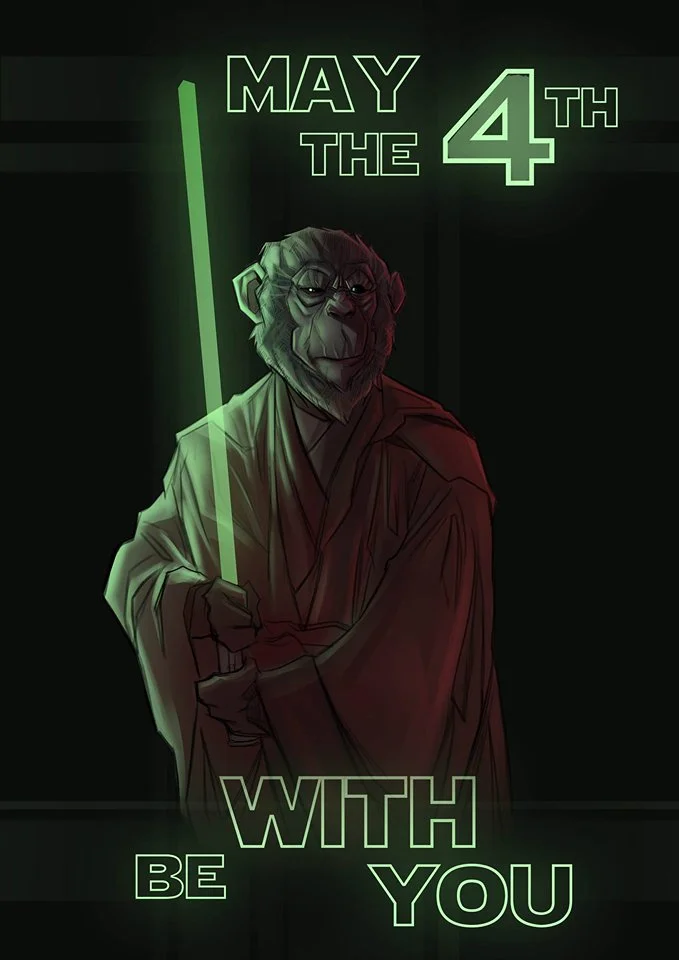 'The 4th Jedi' By Francesco Tomaselli