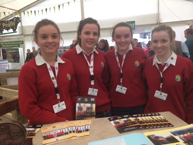 Certified Irish  Angus Final 2016 