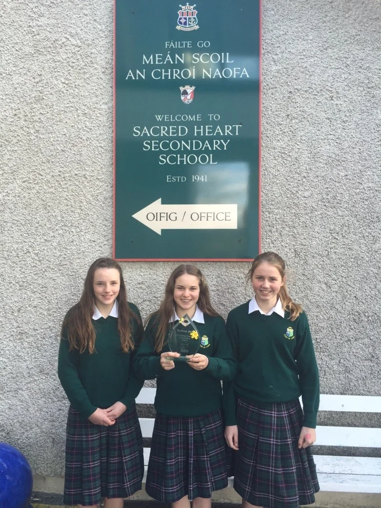 Scifest winners at CIT