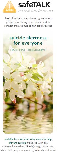 HSE South’s half day Safe TALK Suicide Awareness Training Programme. 