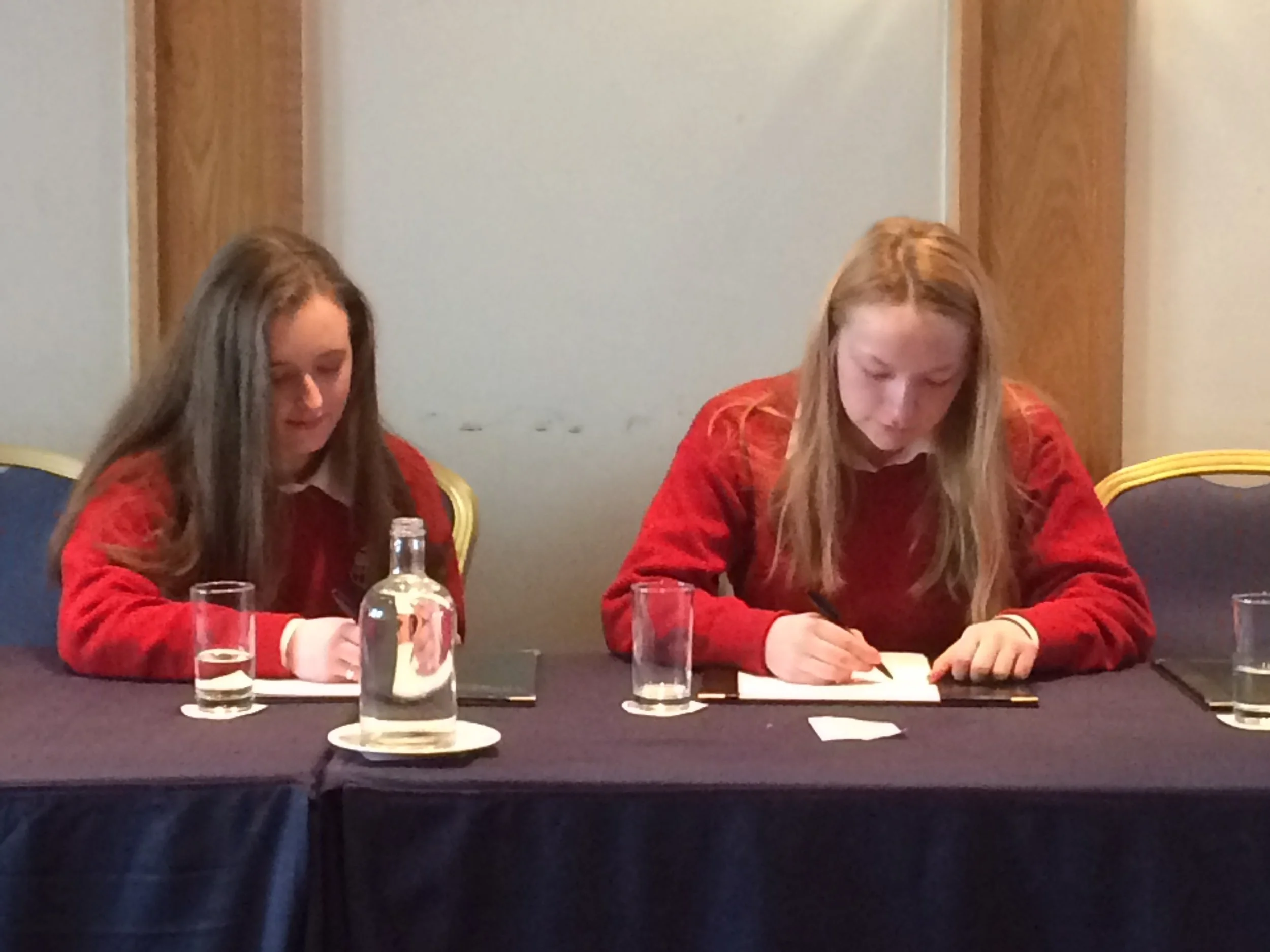 Young Social Innovator Project Invited to Dublin to Office for Democratic Institutions and Human Rights and the Immigrant Council of Ireland