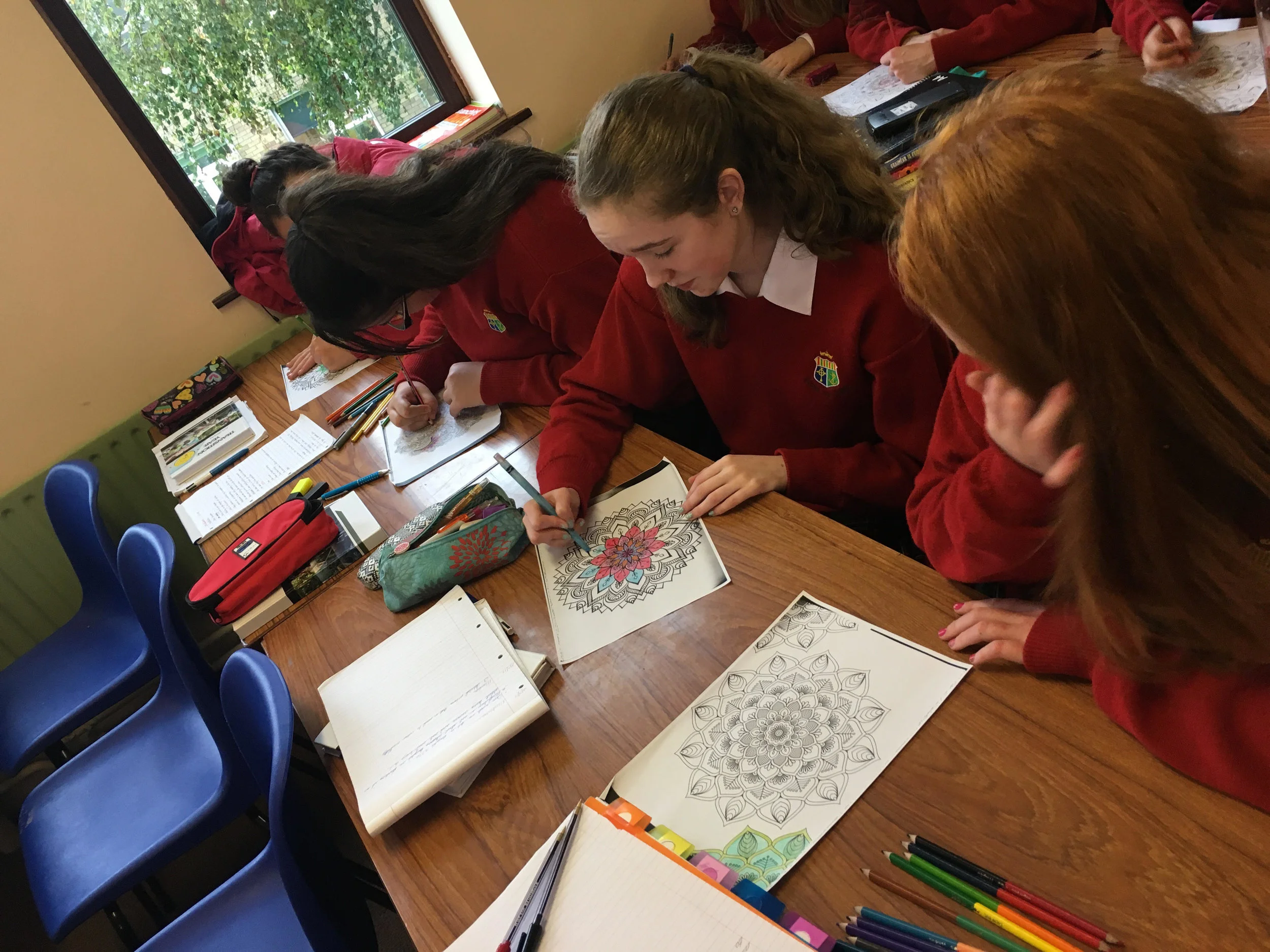 Mindfulness Module in TY