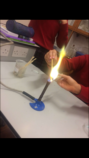 A taste of Transition Year by Hannah O' Donovan