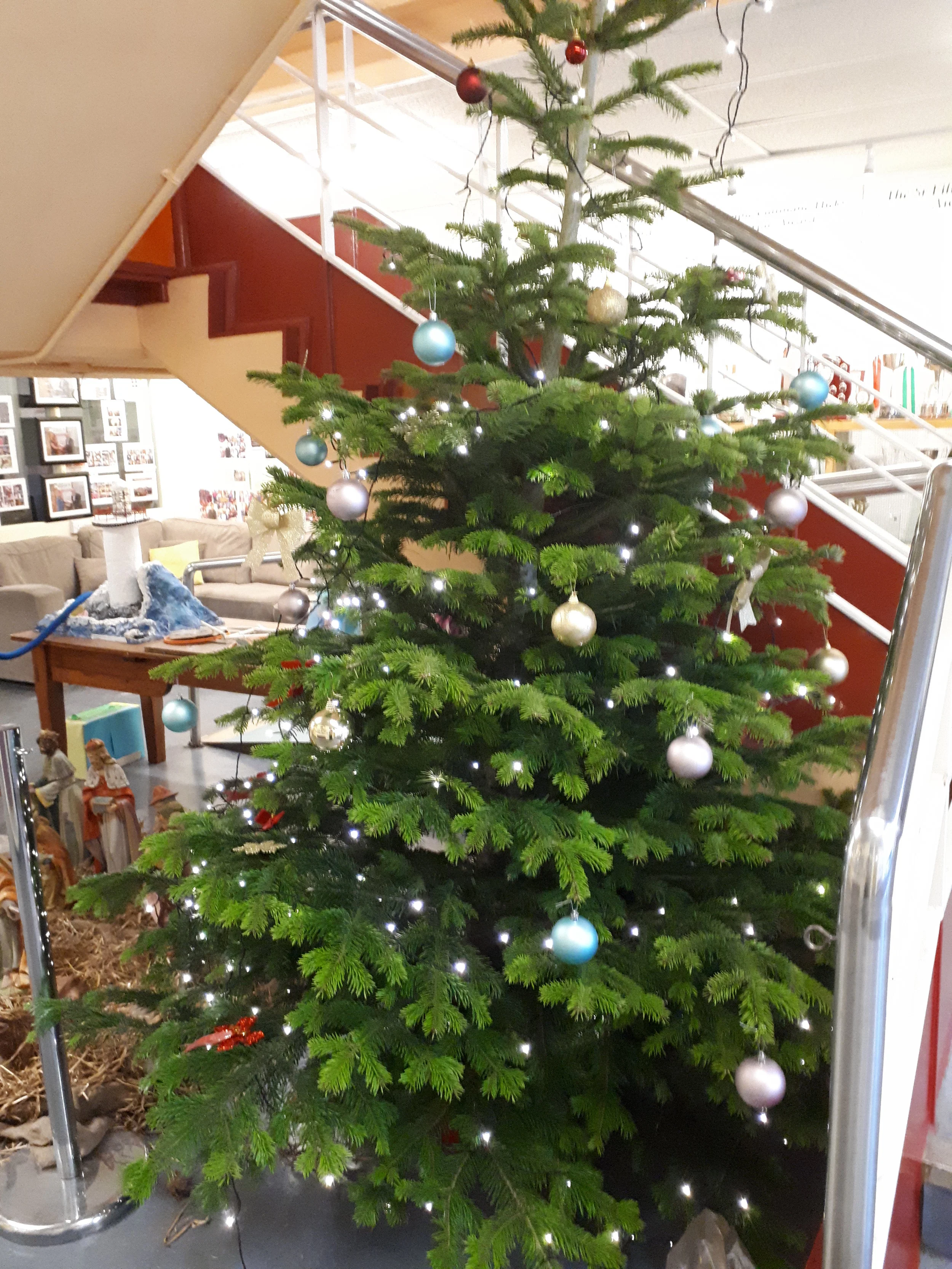 Sacred Heart Secondary School "St. Vincent de Paul" Giving Tree Appeal