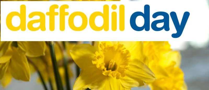 5th Year YSI Daffodil Day Fundraiser
