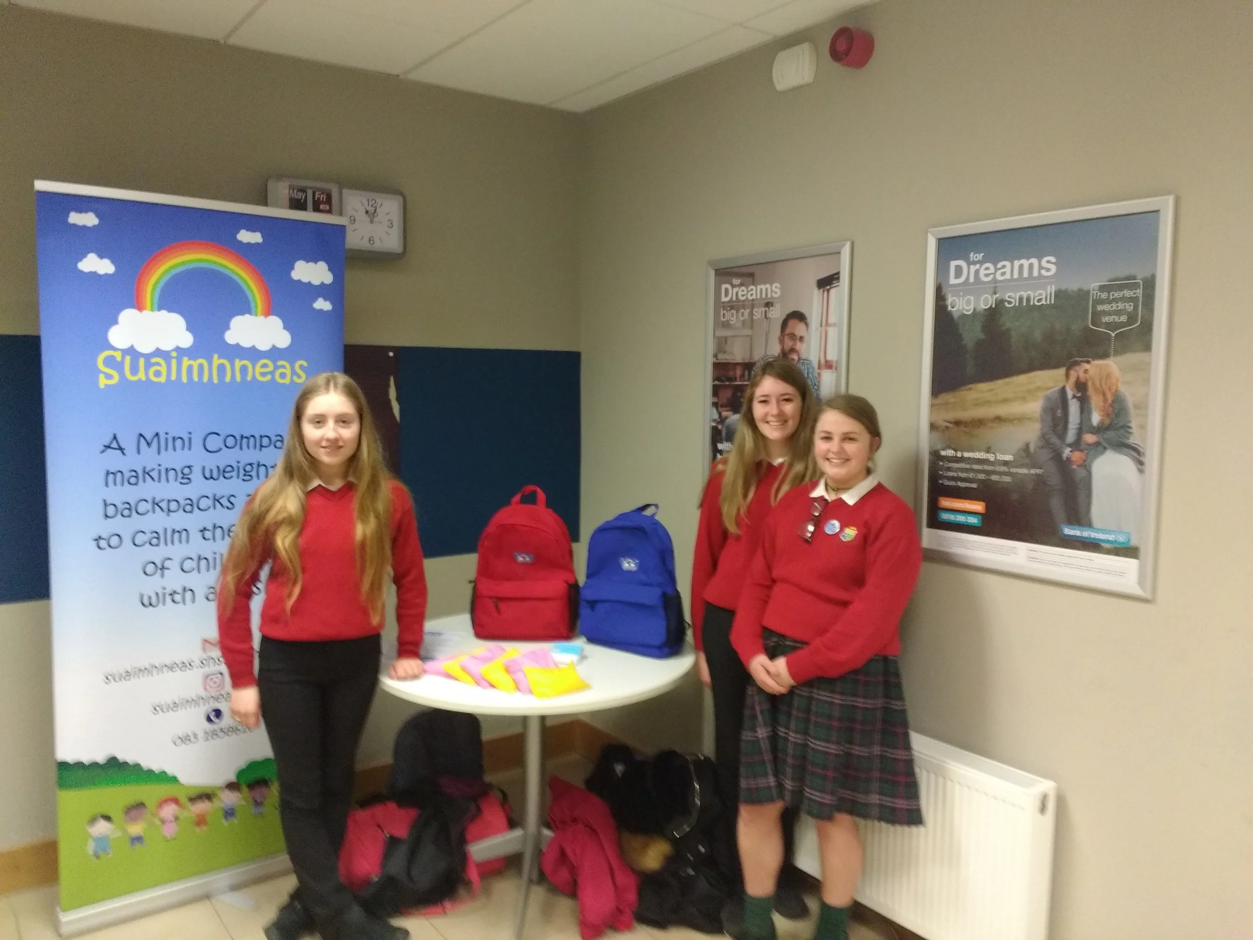 TY Mini Companies at Bank of Ireland