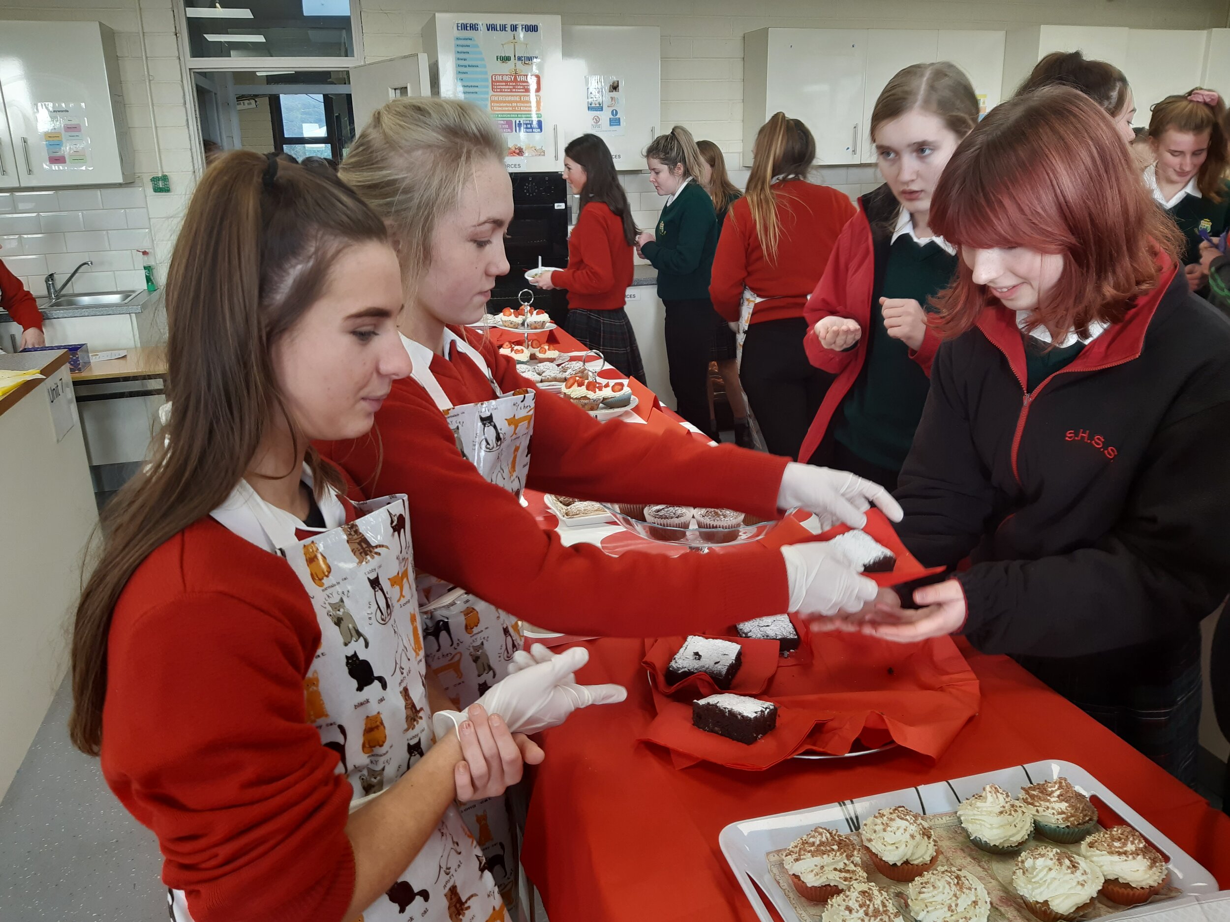 Applied Leaving Cert students complete HCT key assignment for Charity