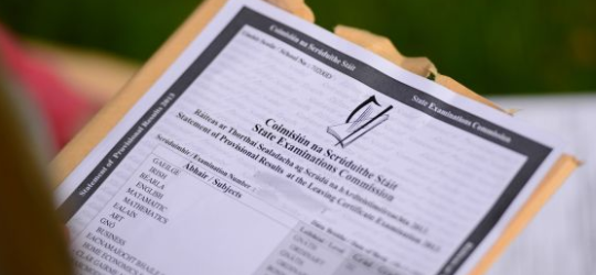 TY students to commence engagement with Leaving Cert Option subjects