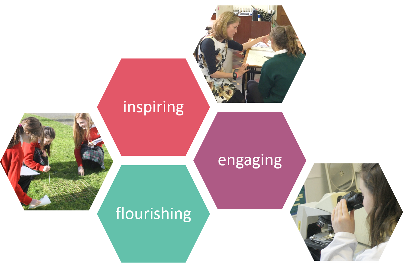 Christmas House Exam Schedule for 1st/2nd and 5th Years