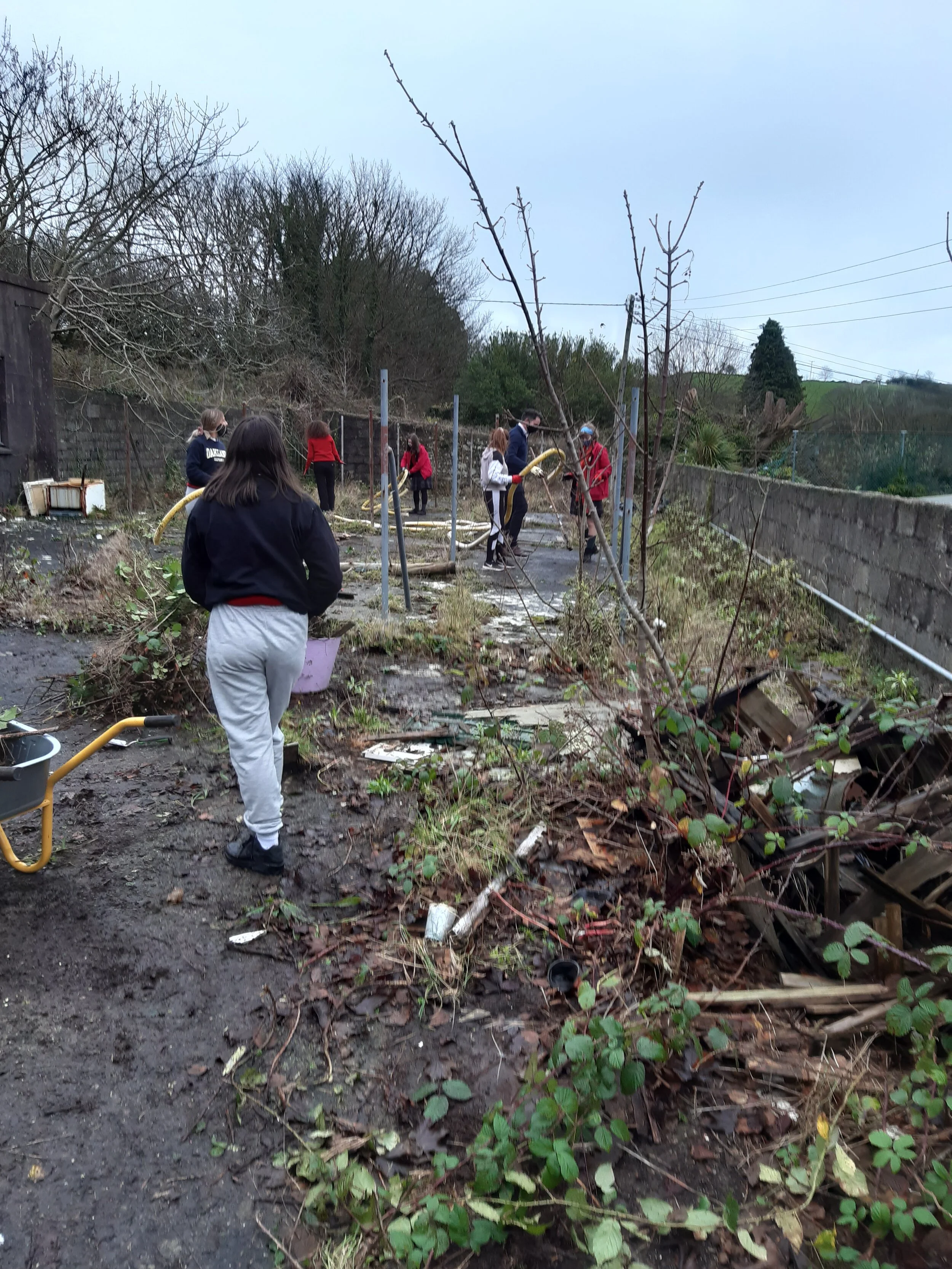 TY "Sustainabilty Module Students"  get stuck in!