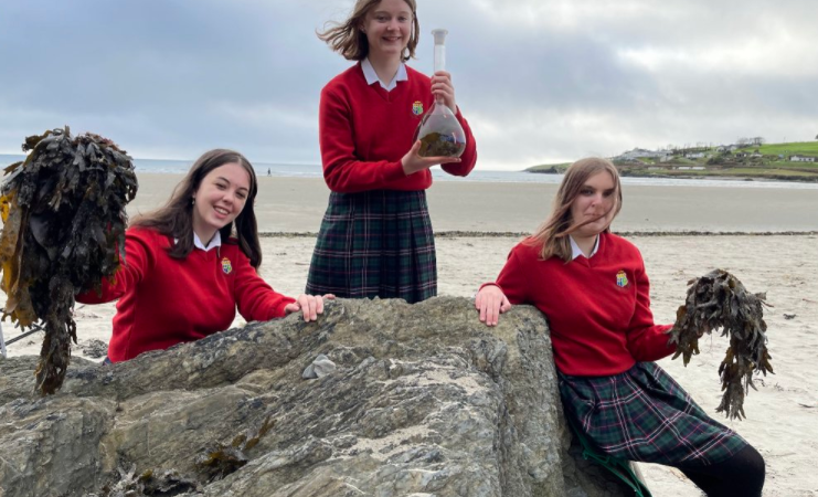 SHSS BT Young Scientist Team on Irish Times