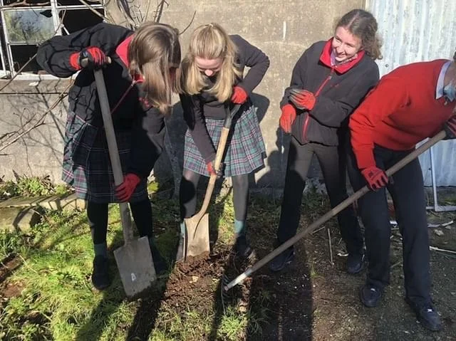 Sustainability at SHSS - Niamh McCarthy