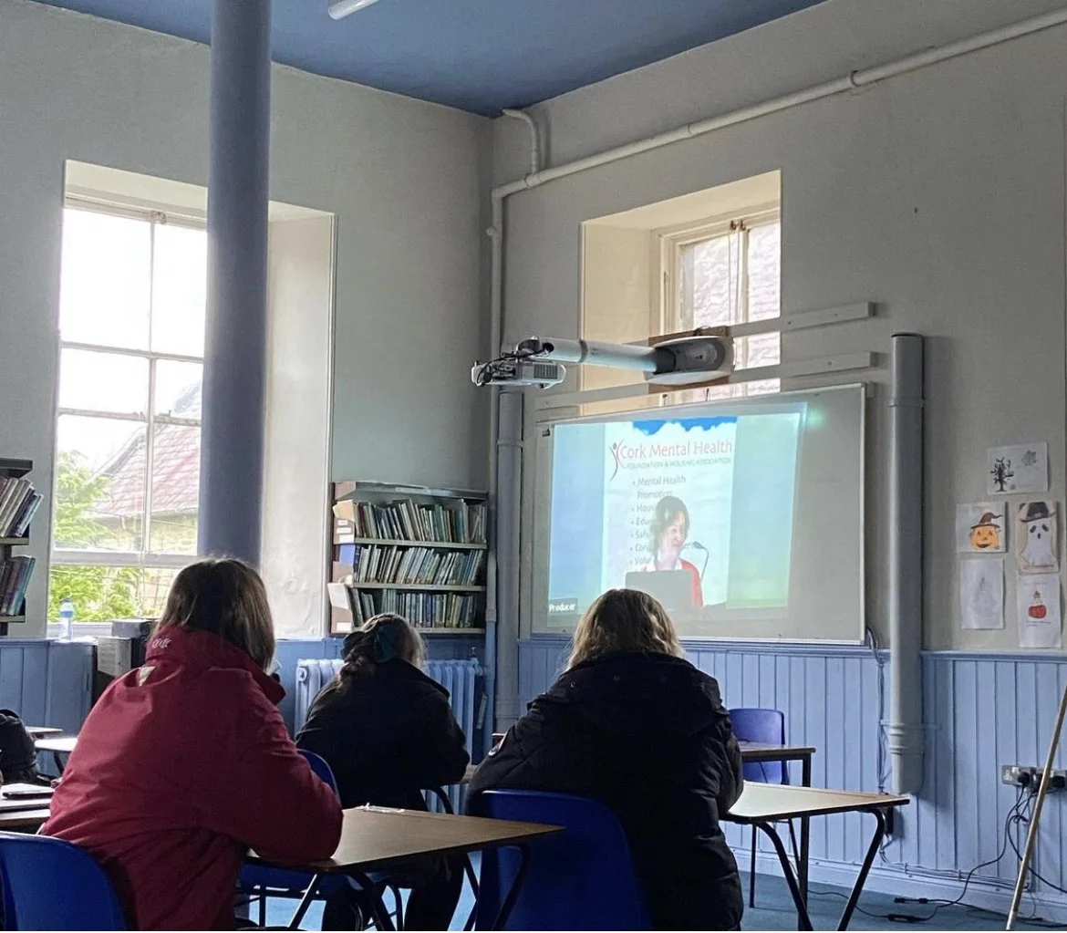 Cork Mental Health Online Seminar