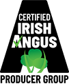 Certified Angus Beef and Me - Lucy Collins