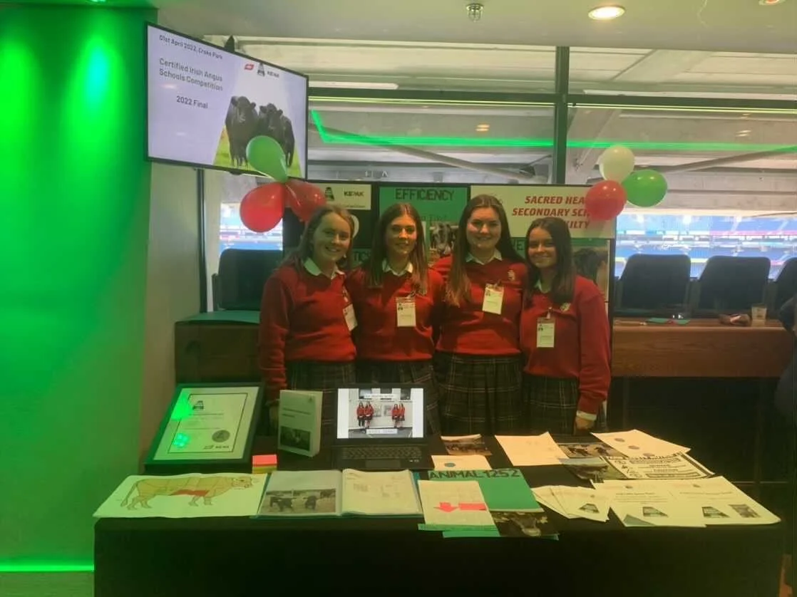 Croke Park Angus Beef Showcase! - Lucy Collins 