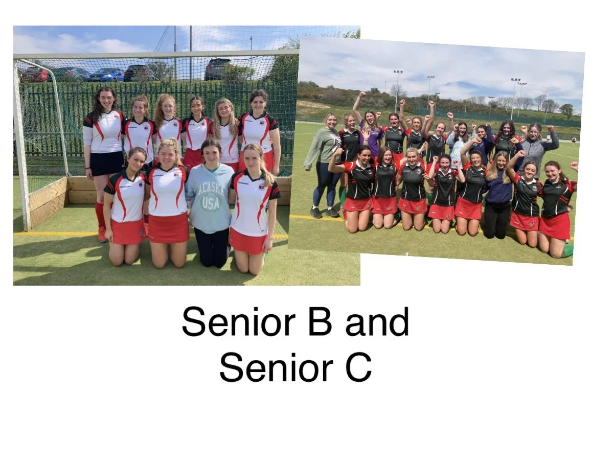 Senior B and C Hockey Wins!