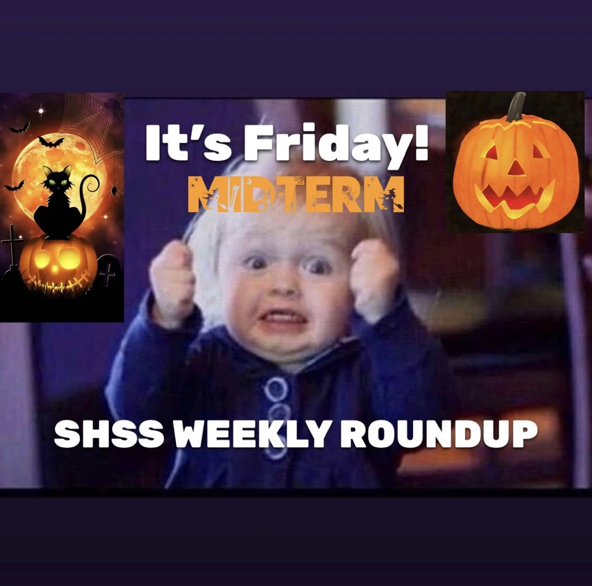 SHSS Weekly Roundup - Friday 28th October 2022