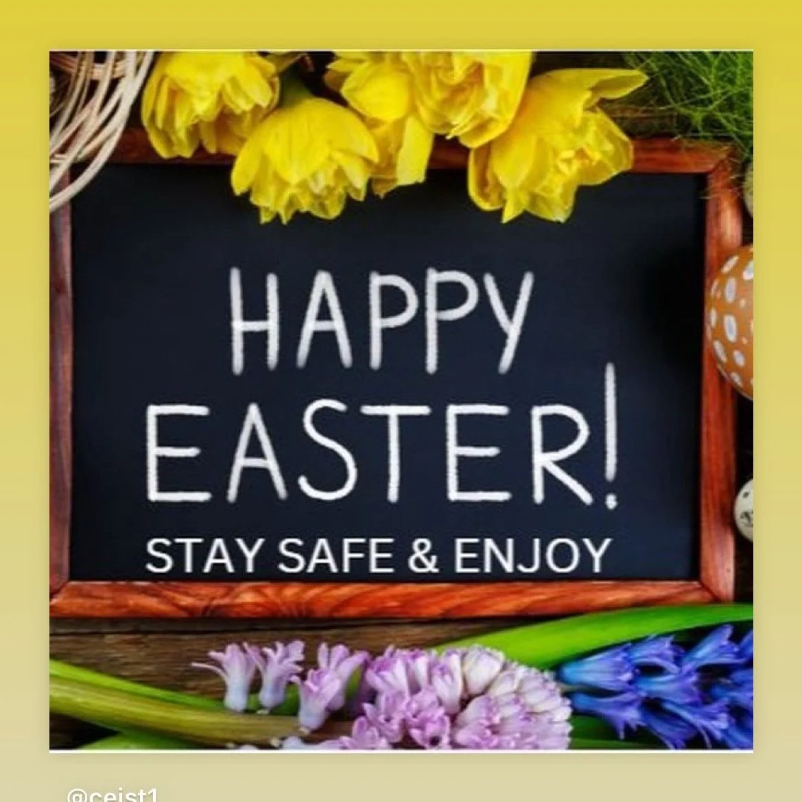 Happy Easter!