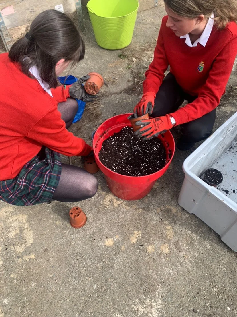 Planting in Sustainability Class