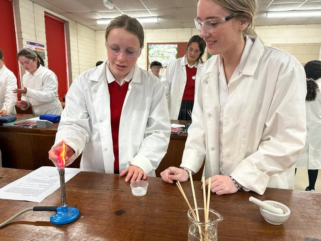 Chemistry with Ms Holland 