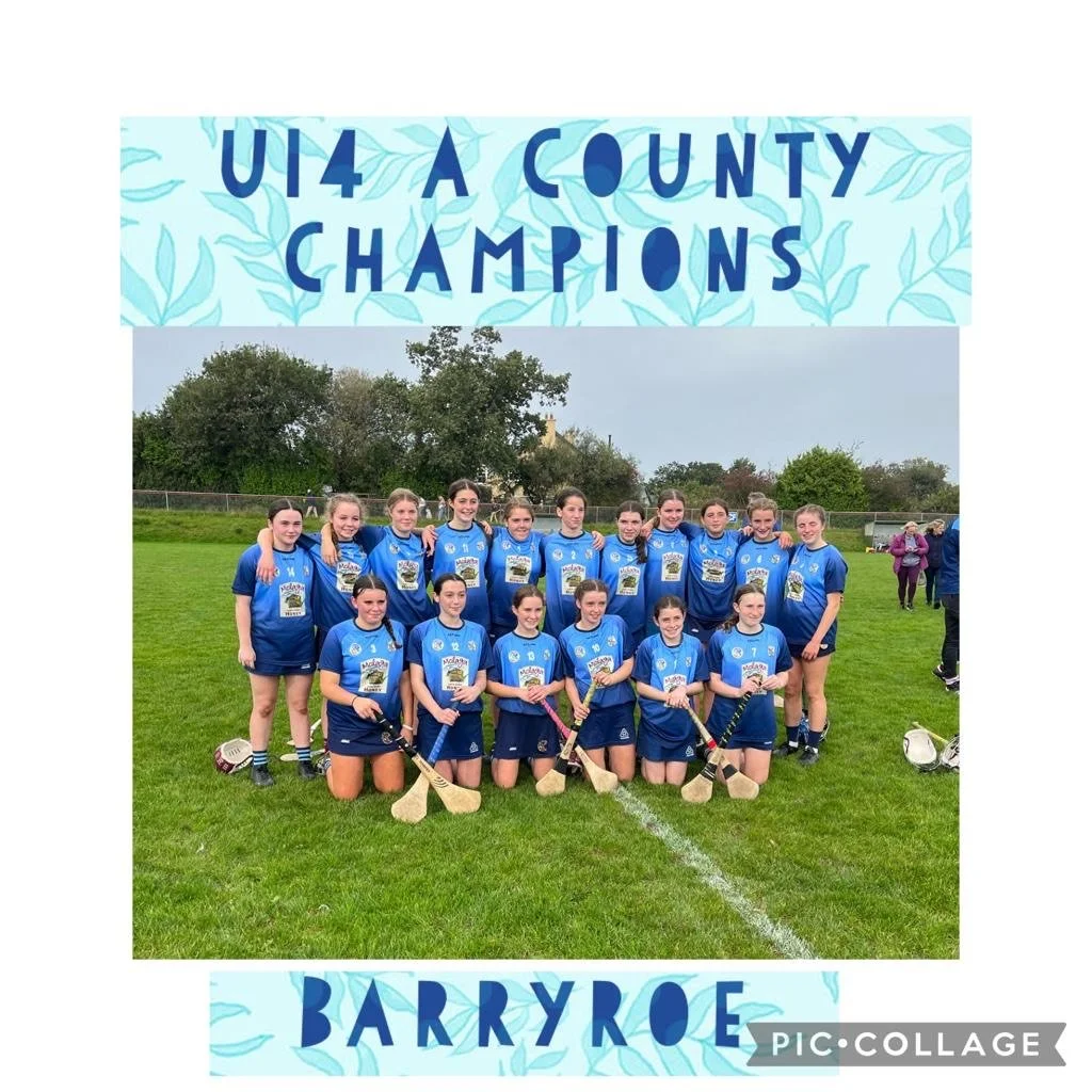 U14 County Medal for Barryroe GAA students 