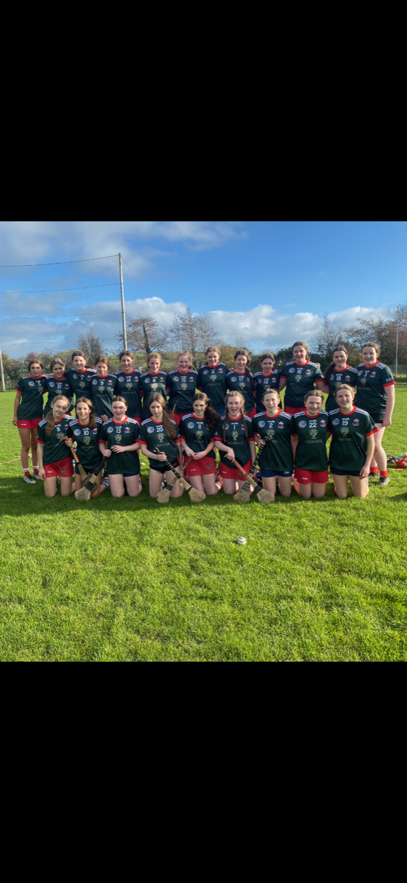 Camogie - SHSS v Coachford College 