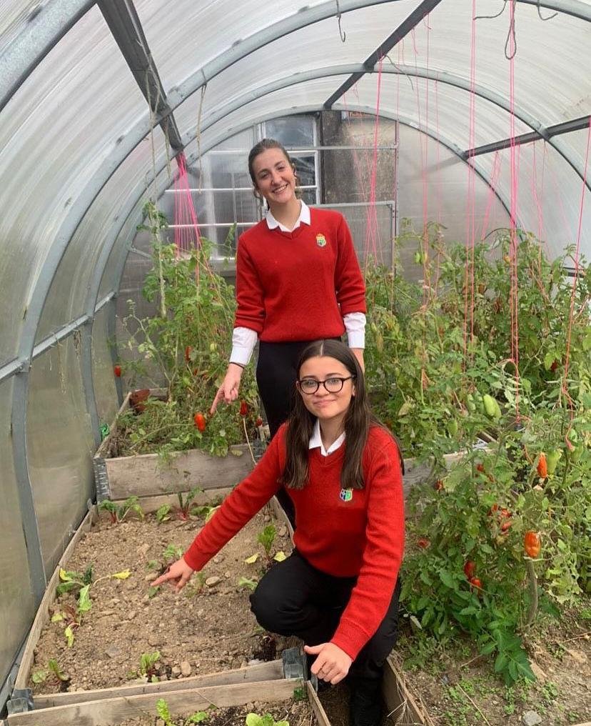 Sustainability Module 