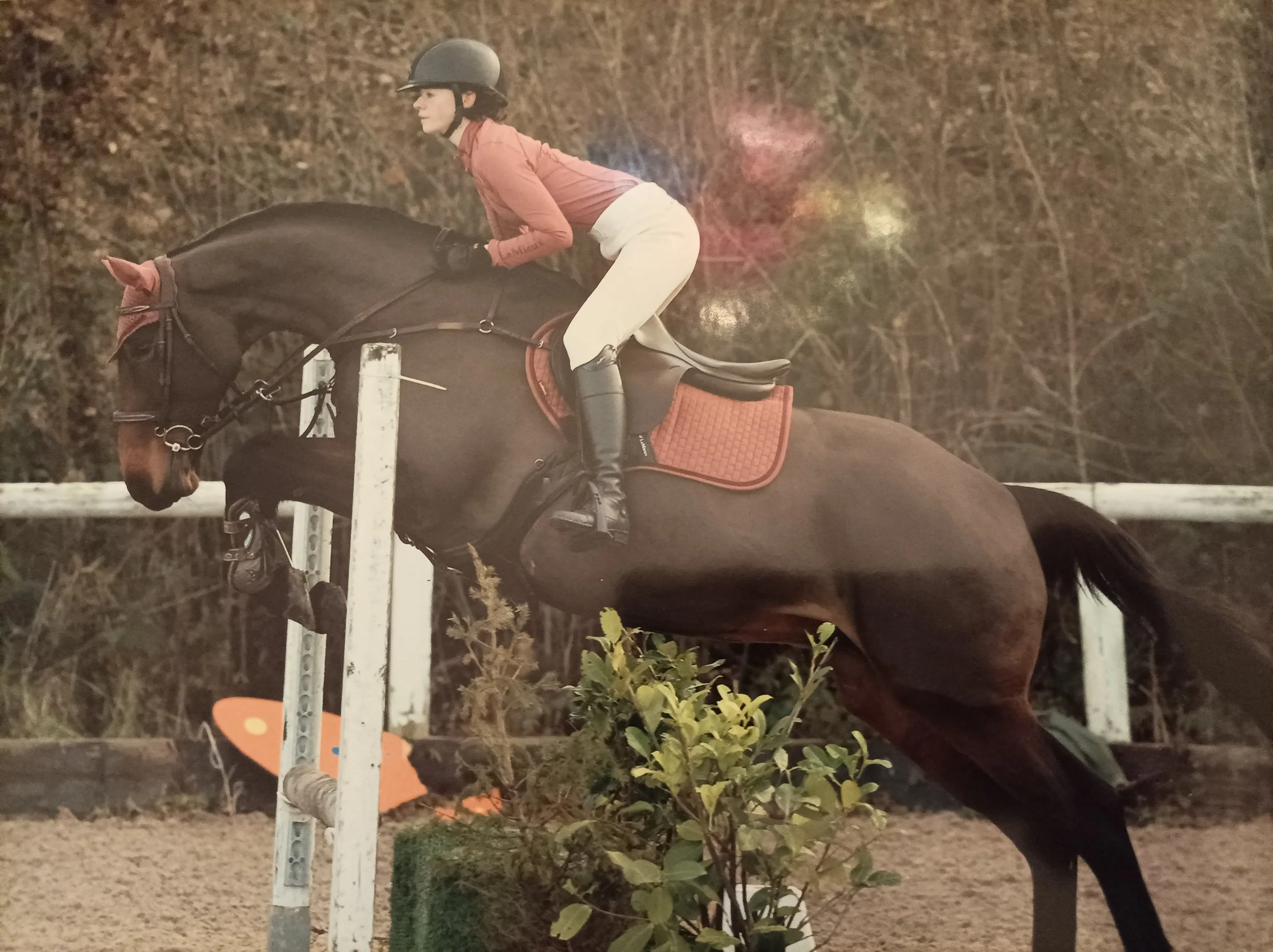 Alex O'Sullivan at Cross Jump Derby