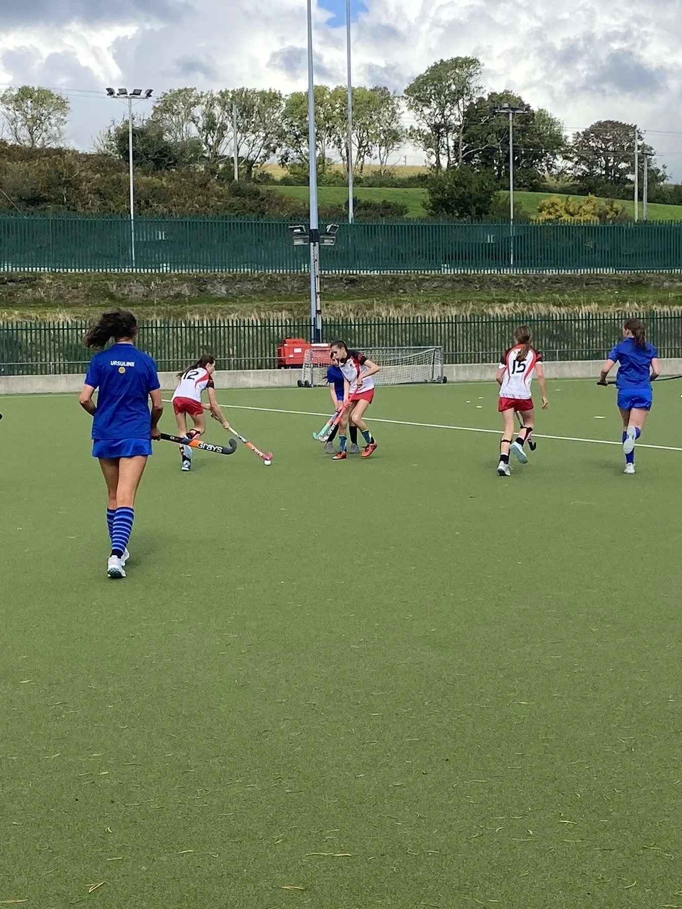 Minor Hockey Team in action