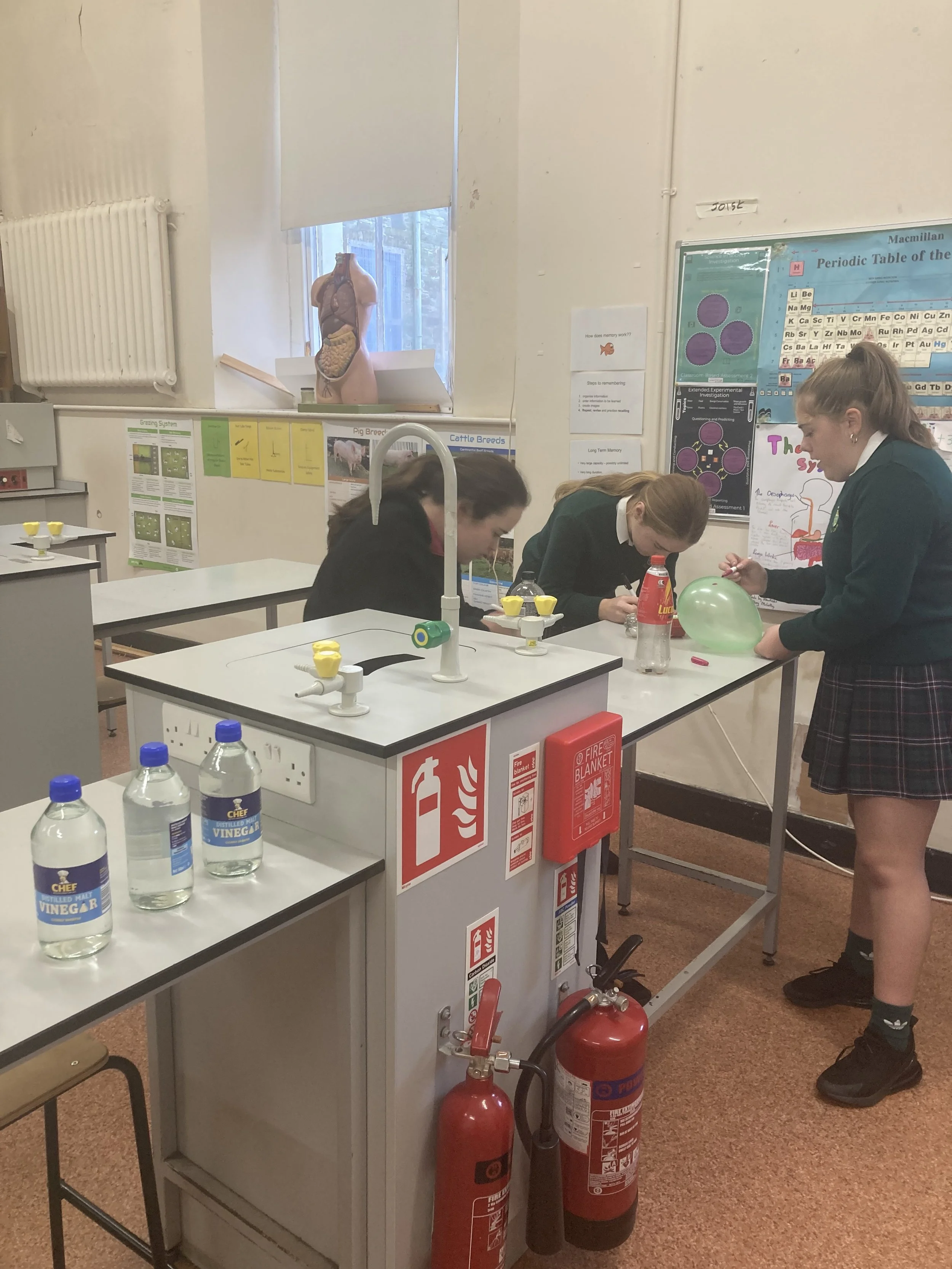 Lunch time Science Club with Ms. Lucey