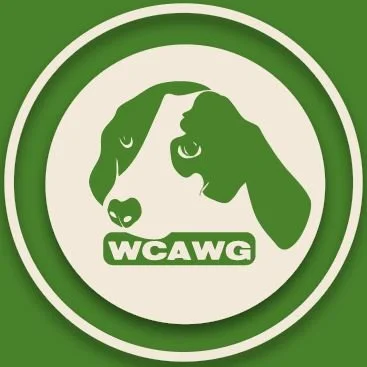 West Cork Animal Welfare Bake Sale