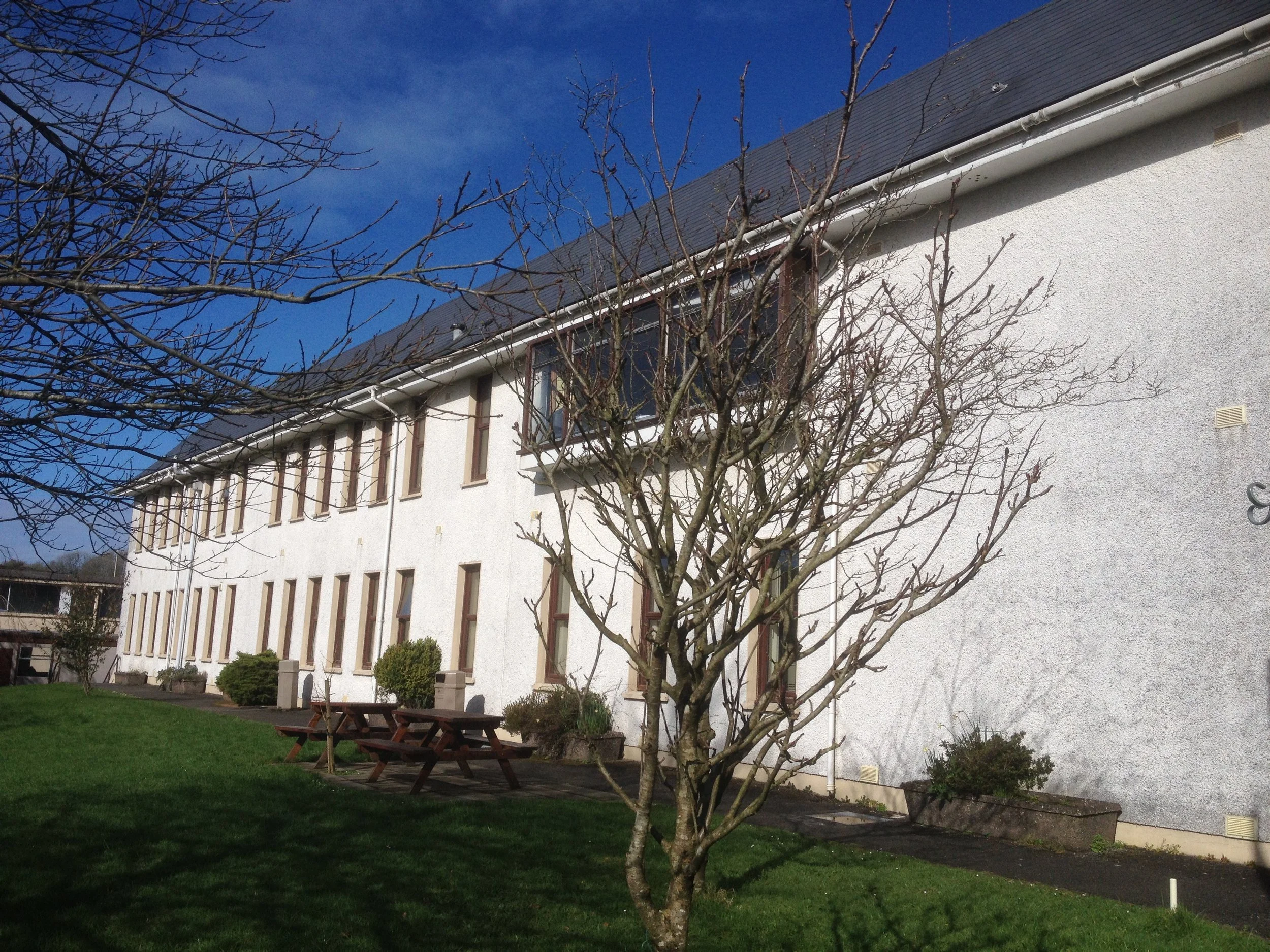 Assessment Arrangements for Junior Cycle and Leaving Certificate 2026