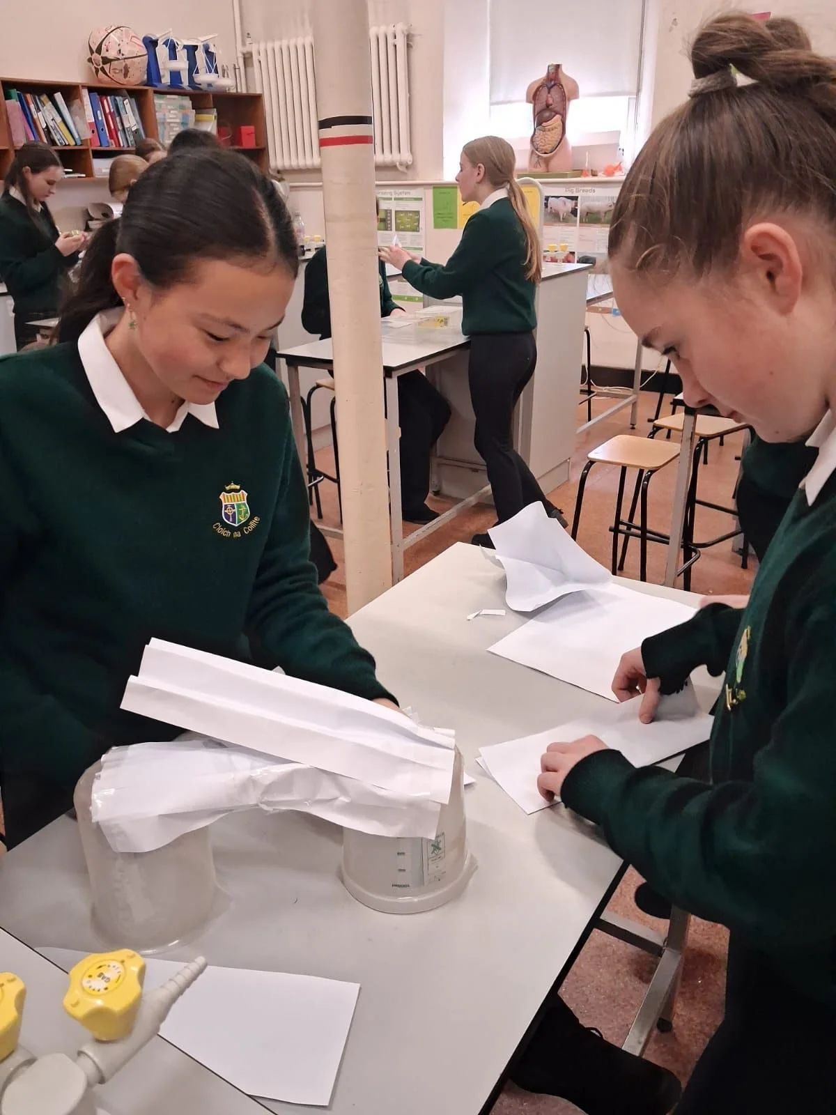 Science Week 2025 – A Fantastic Success
