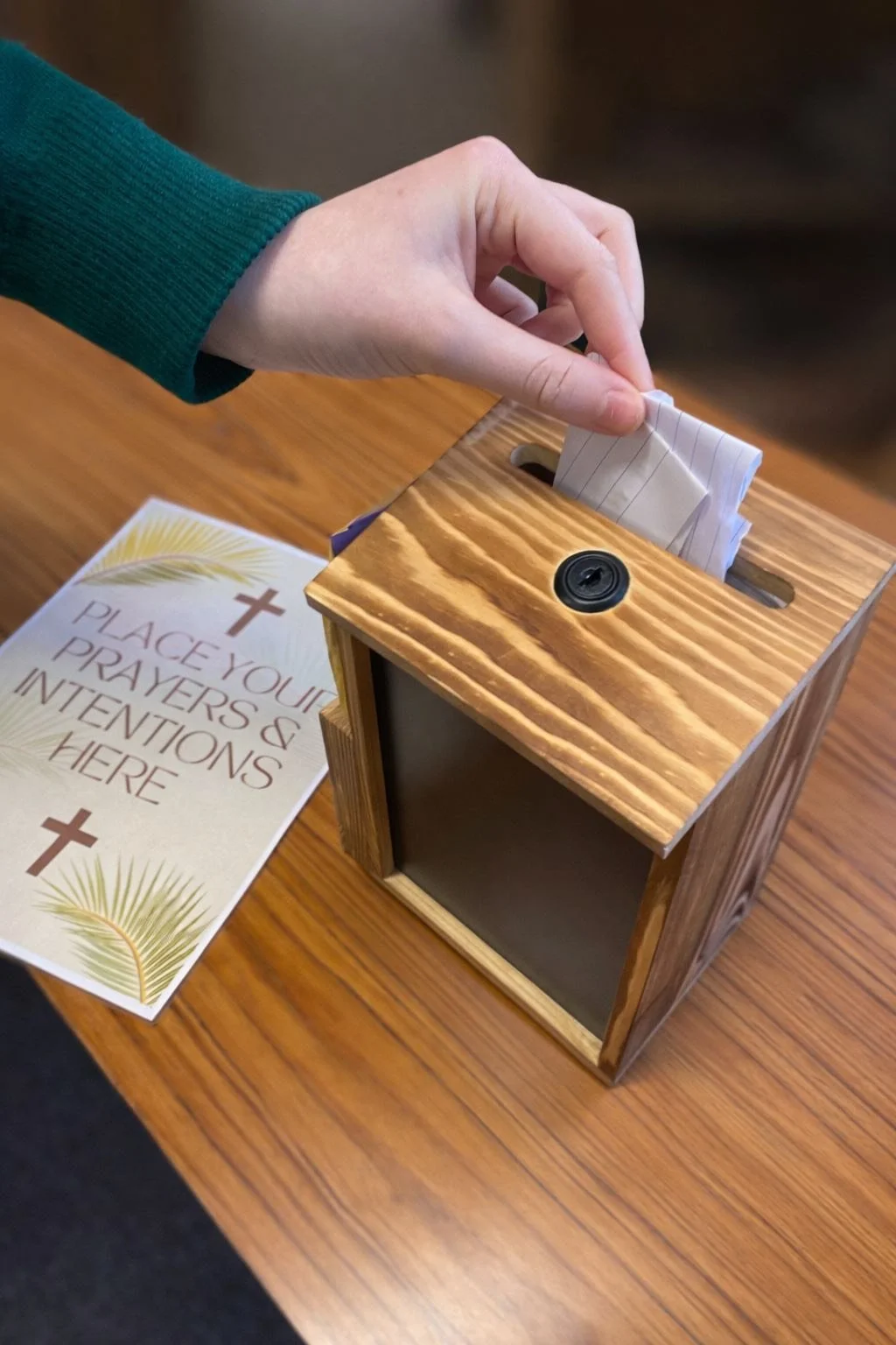 Ceist Catholic Schools Week 2026: Normal Lives, Called to Holiness