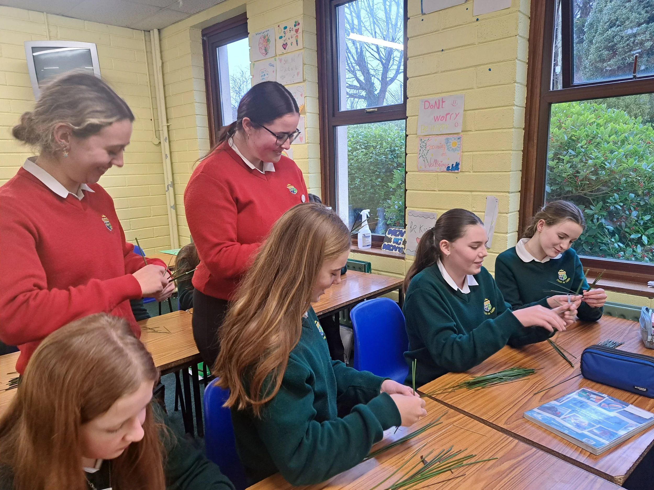 Reliving Transition Year with St.Brigid