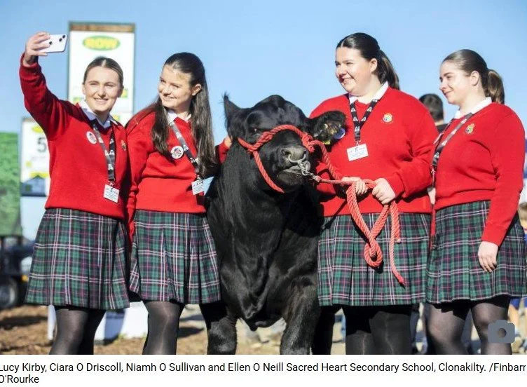 Cork school crowned winners of Certified Irish Angus competition