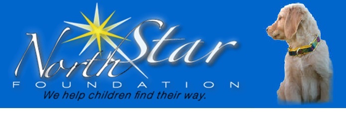 North Star Foundation