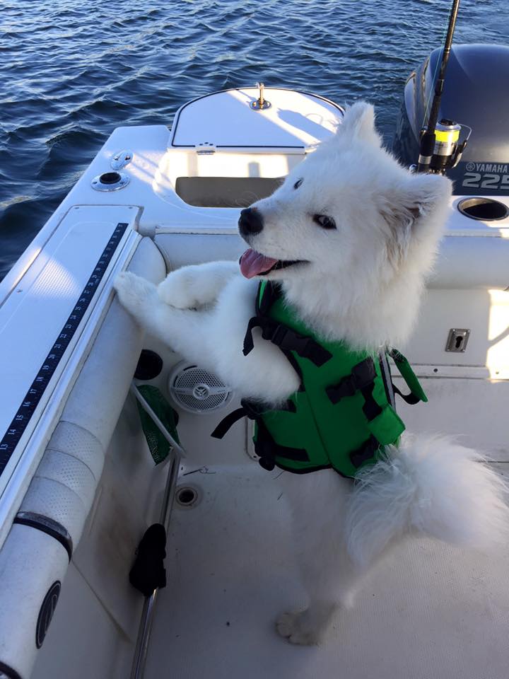 North Star Maverix setting sail with his children on the open water