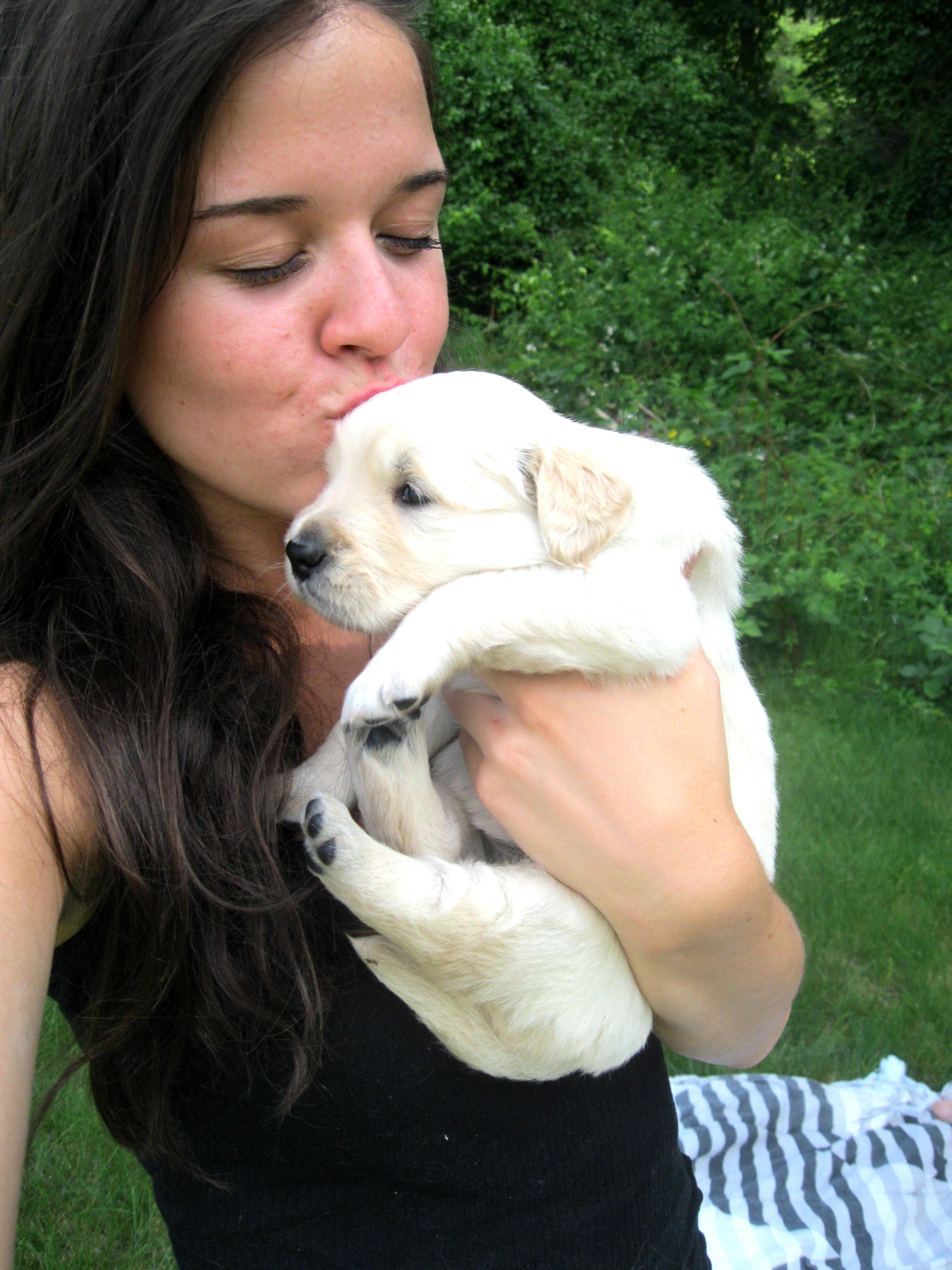 Heart and Soul Dog Breeding - Whelping Puppies, Whelping Service Program,  Whelping Services