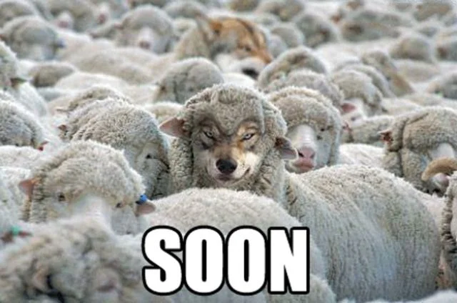 soon.jpg