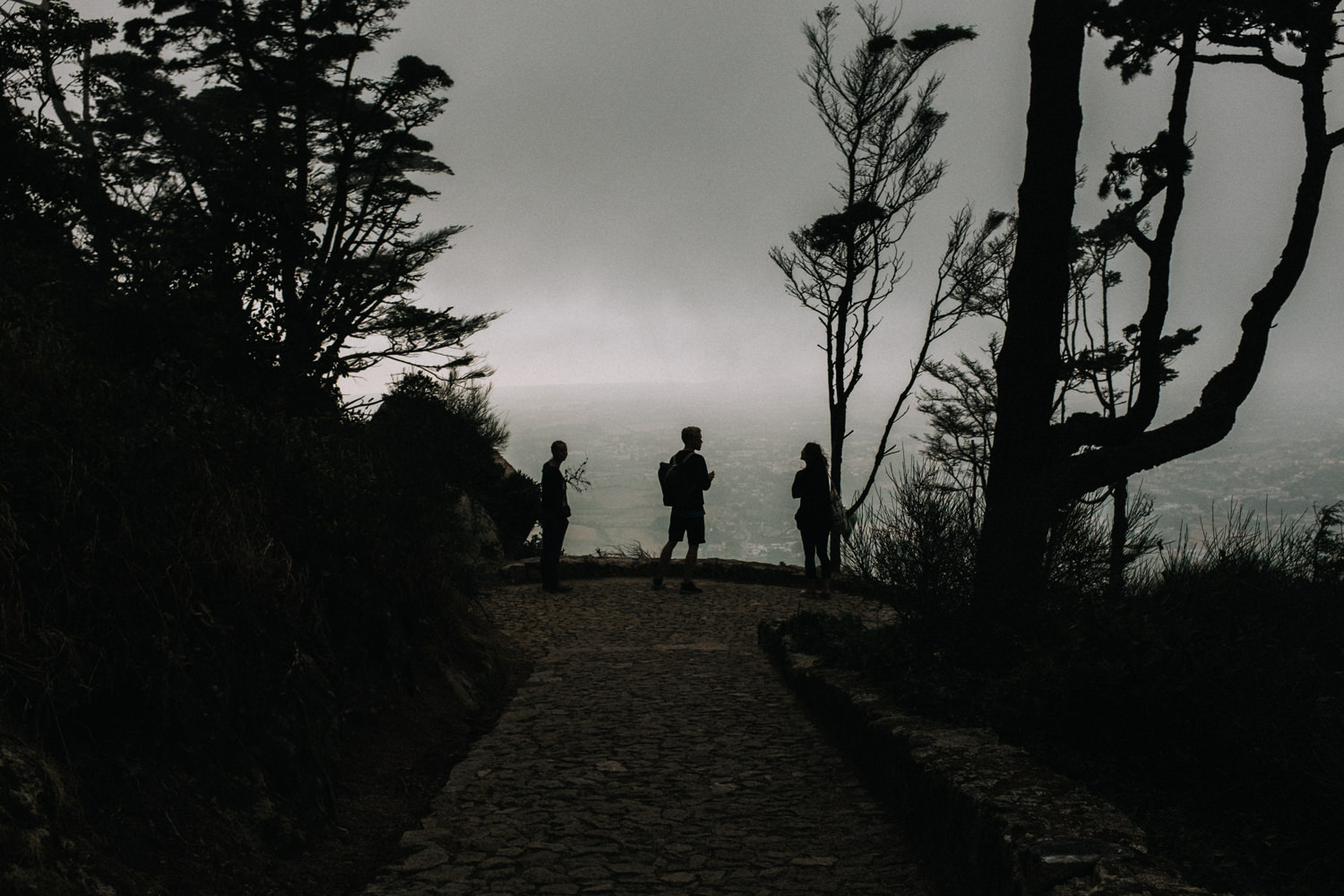Squarespace_Portugal_2015-68.jpg