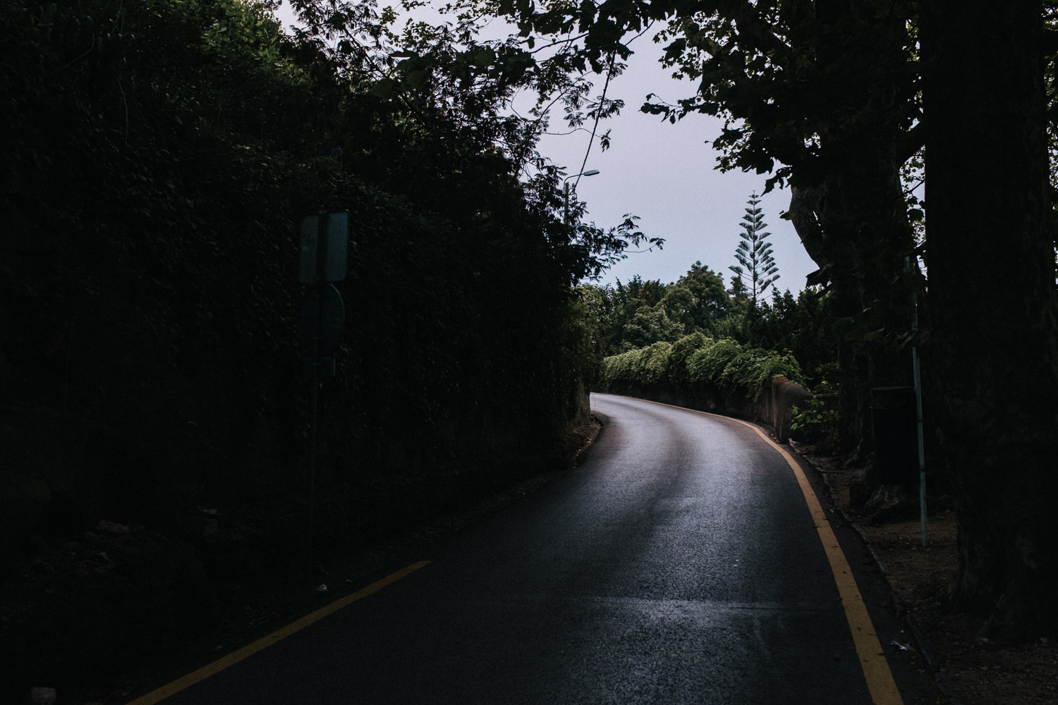 Squarespace_Portugal_2015-69.jpg