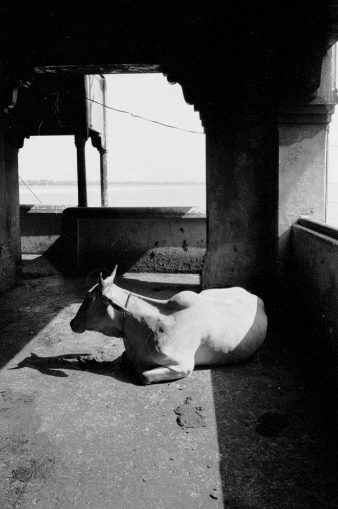  VARANASI 