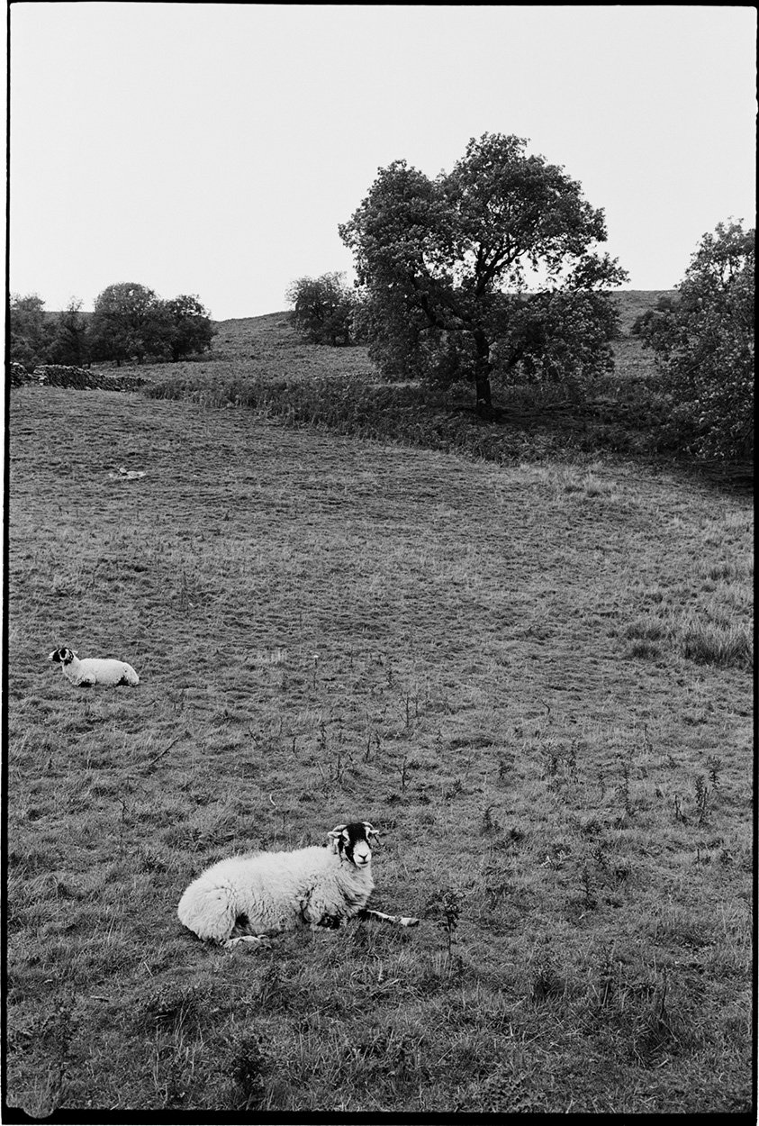 YorkshireDales05.jpg