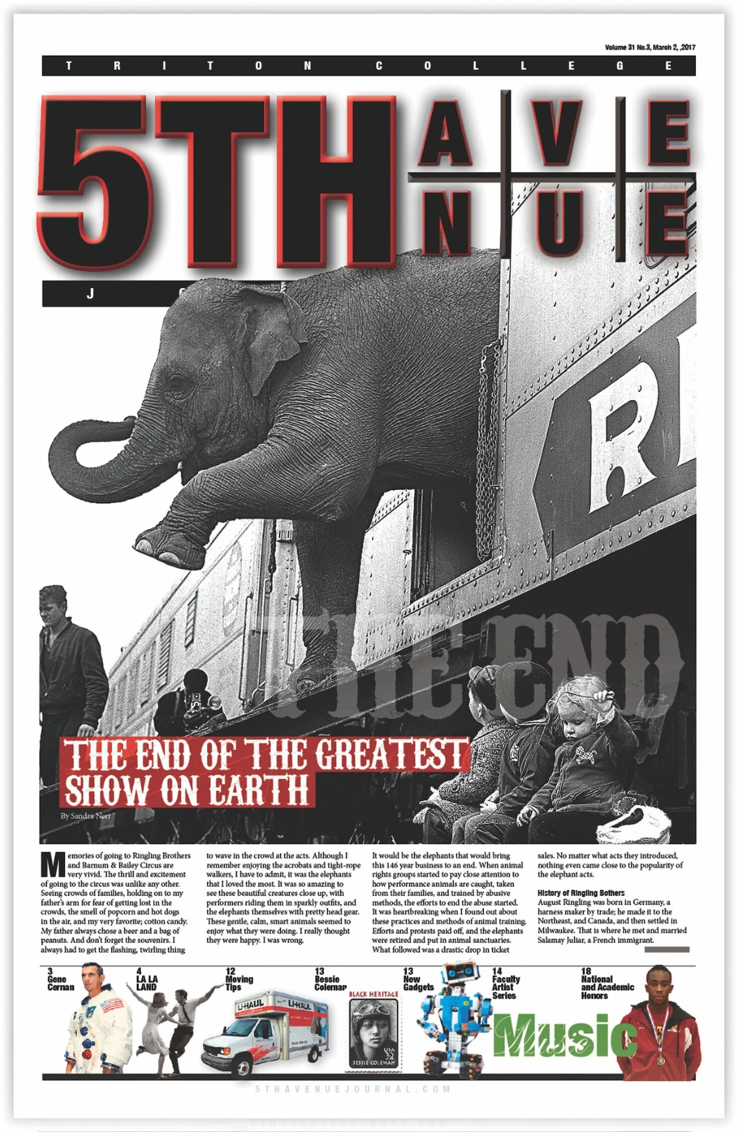 Elephant_5AJ.jpg
