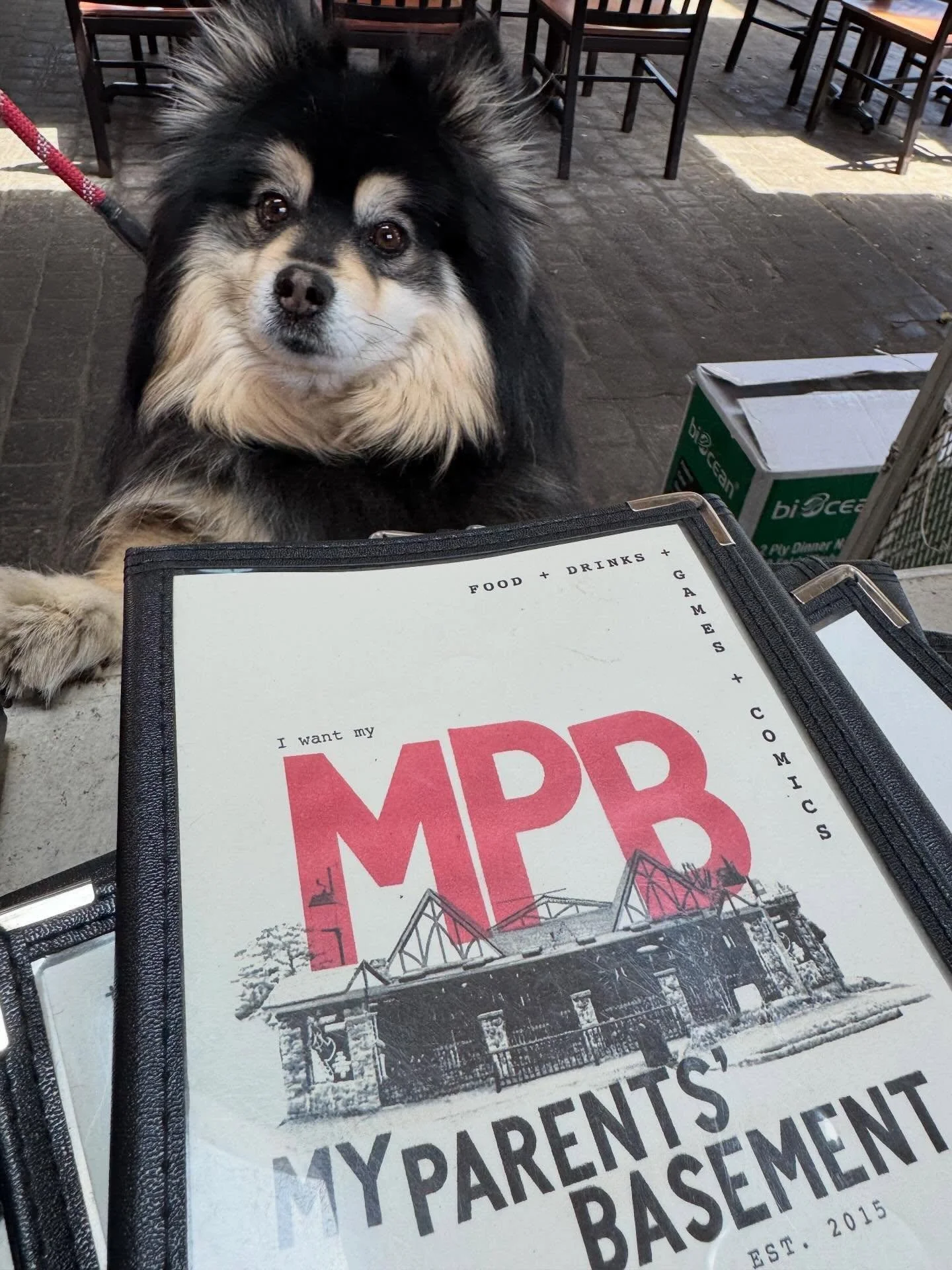 Come by and enjoy our patio with your bestie. Well behaved dogs (and well behaved people) are always welcome on our patio! #patioseason #atlantapatio #nerdbar #dogfriendly