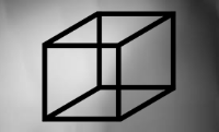 The Necker Cube: which face is closer?
