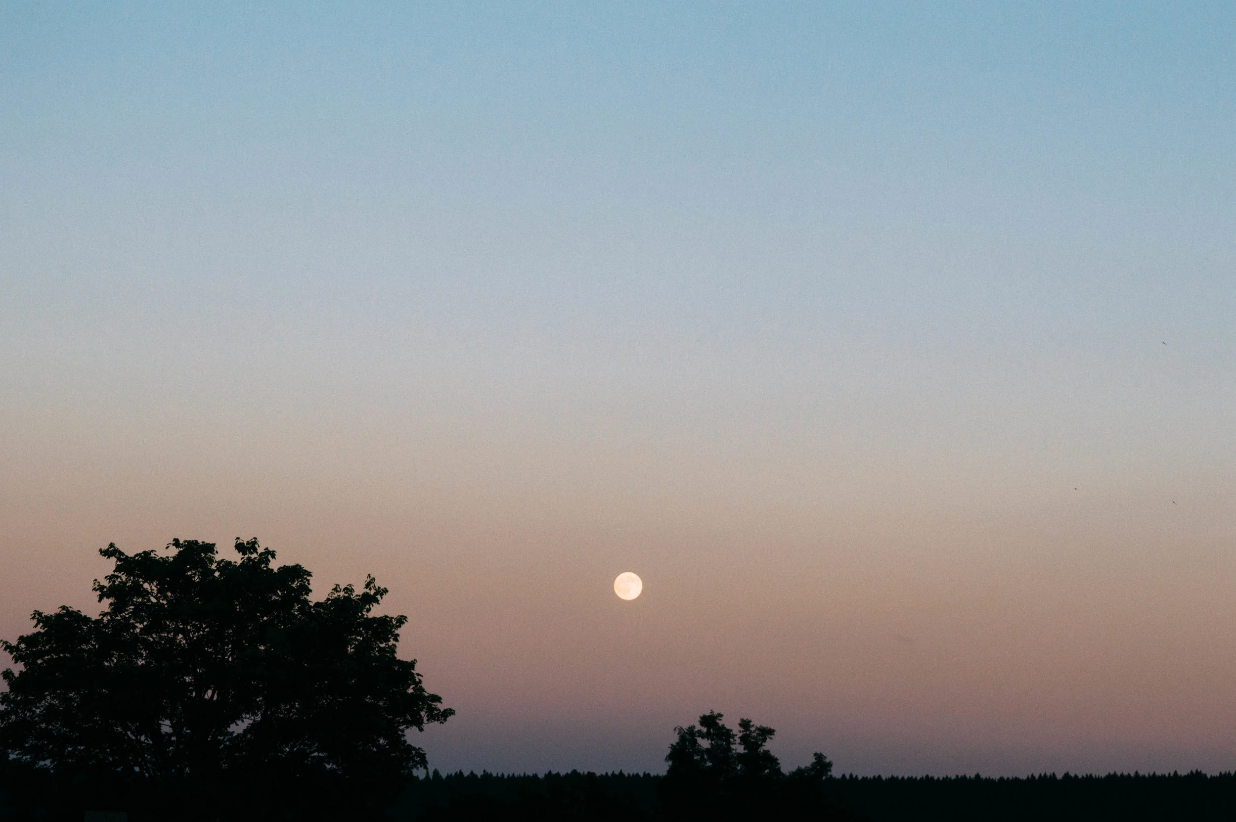 Image Description: A full moon during sunset over a landscape of trees.