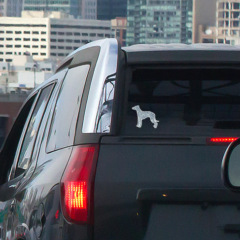 whippet_morroco_car.png